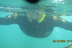 Yes It's Me!