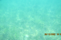 First view of the water